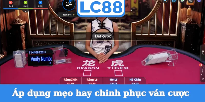 ap-dung-meo-hay-chinh-phuc-van-cuoc