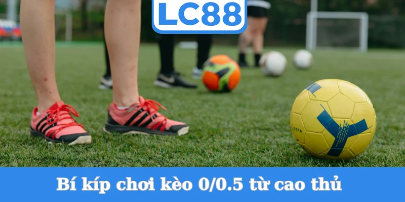 bi-kip-choi-keo-0_0.5-tu-cao-thu