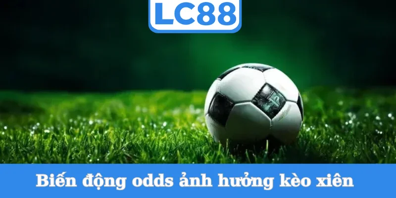 bien-dong-odds-anh-huong-keo-xien