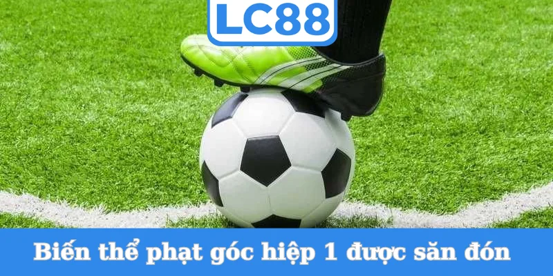 bien-the-phat-goc-hiep-1-duoc-san-don